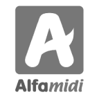damogo-partner-1